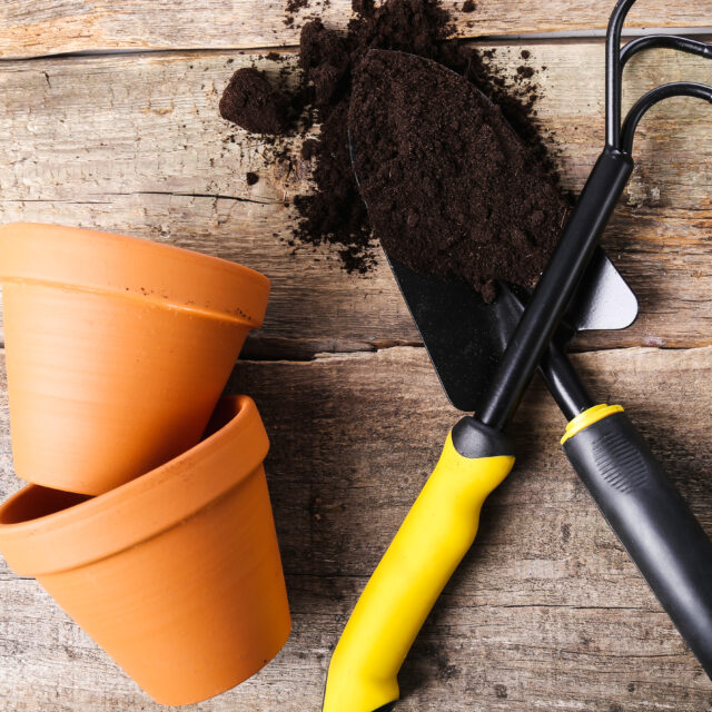 Can You Reuse Potting Soil? What You Need To Know Grow Hot Peppers