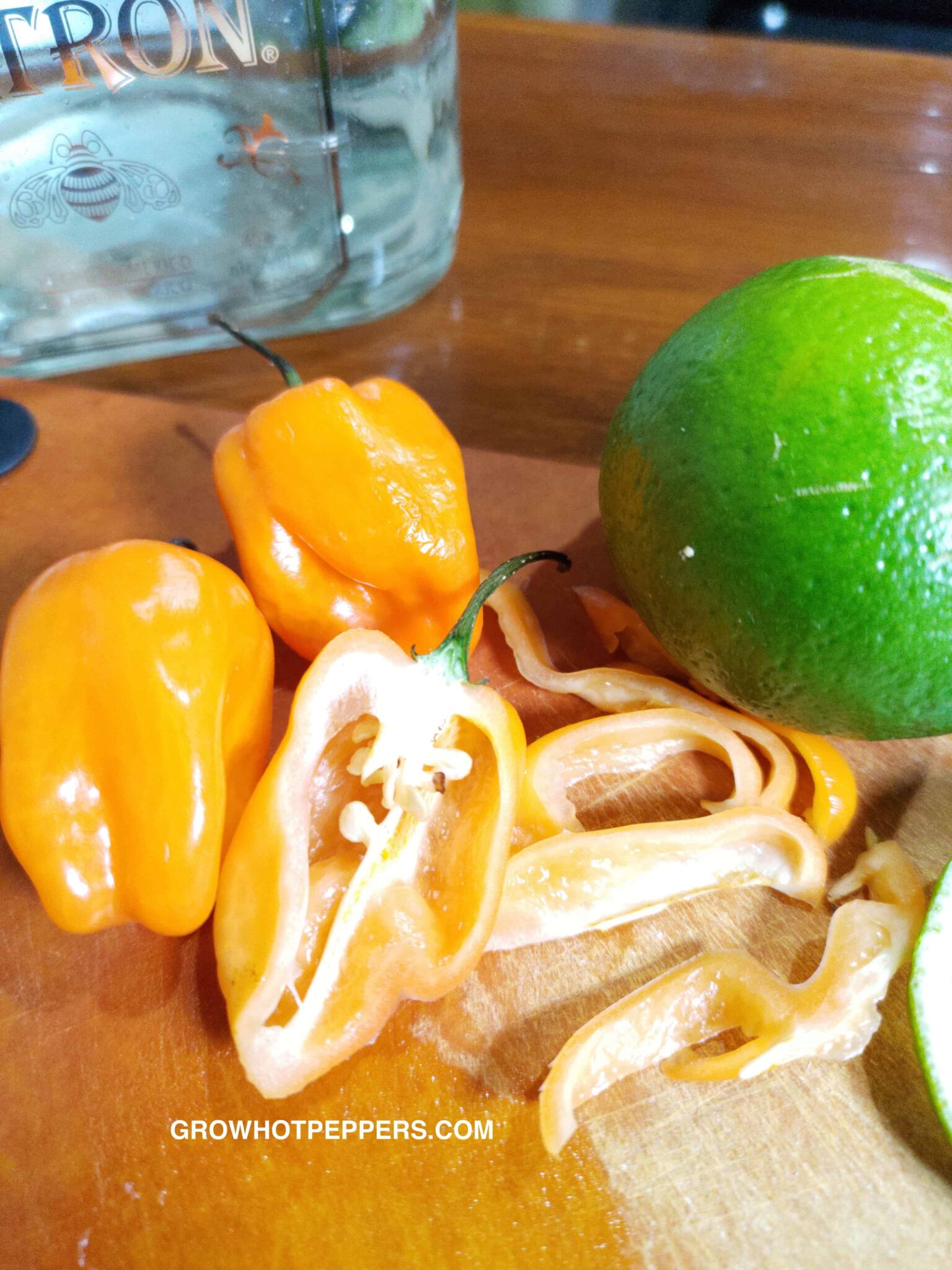 Spicy Margarita Recipe Habanero, Lime & Tequila Grow Hot Peppers