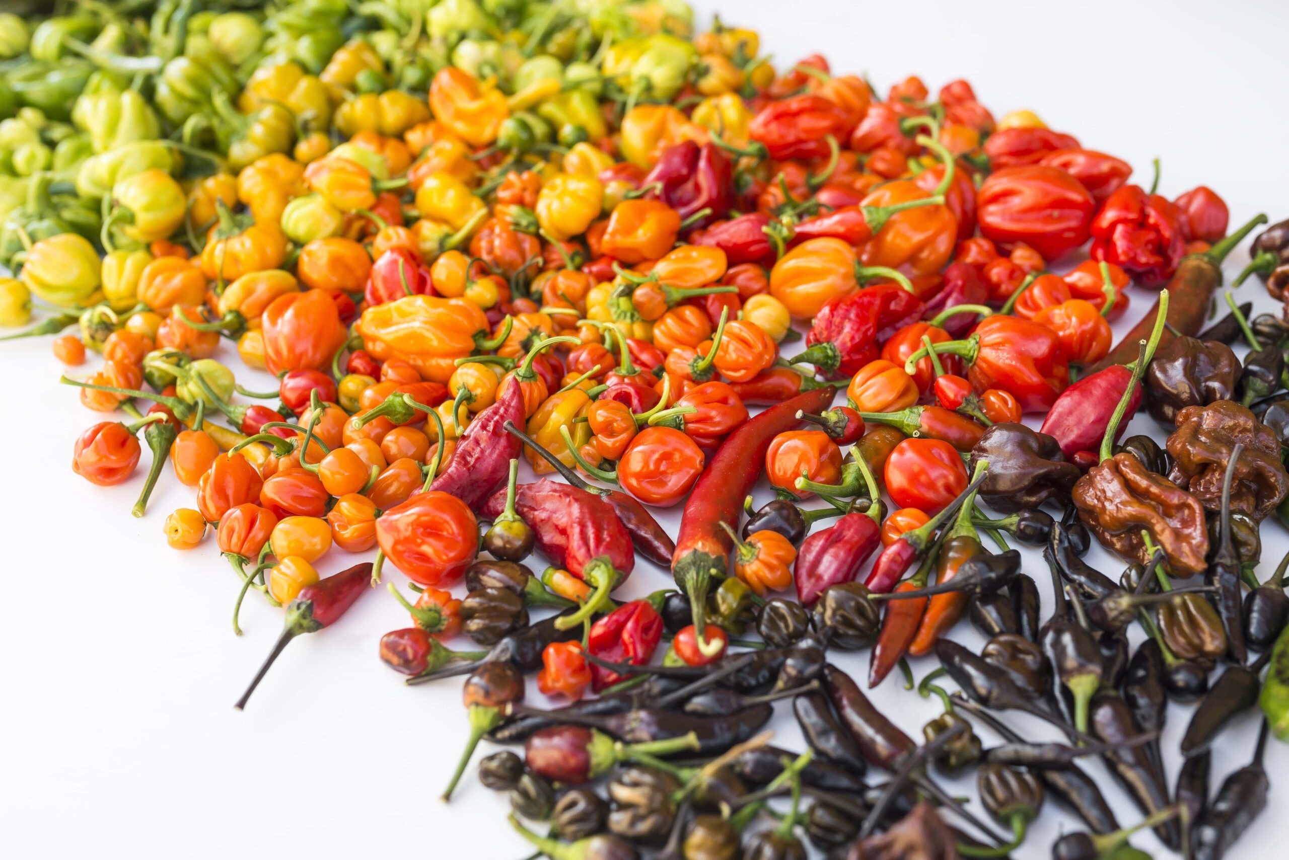 Hottest Peppers In The World By Location Grow Hot Peppers