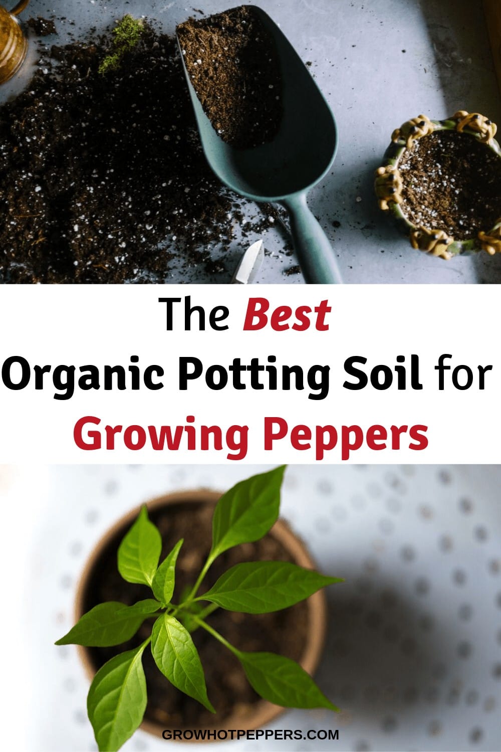 Organic Potting Soil The Best Mix For Peppers In Pots Grow Hot Peppers