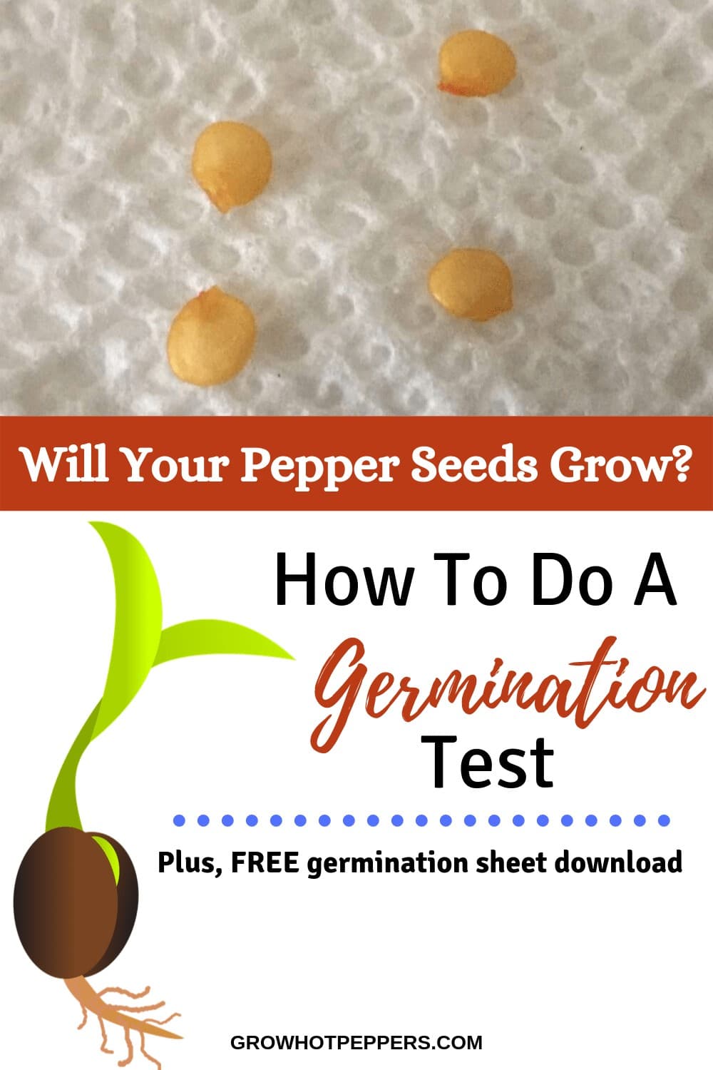 Test Pepper Seed Viability So You Don't Waste Time Grow Hot Peppers
