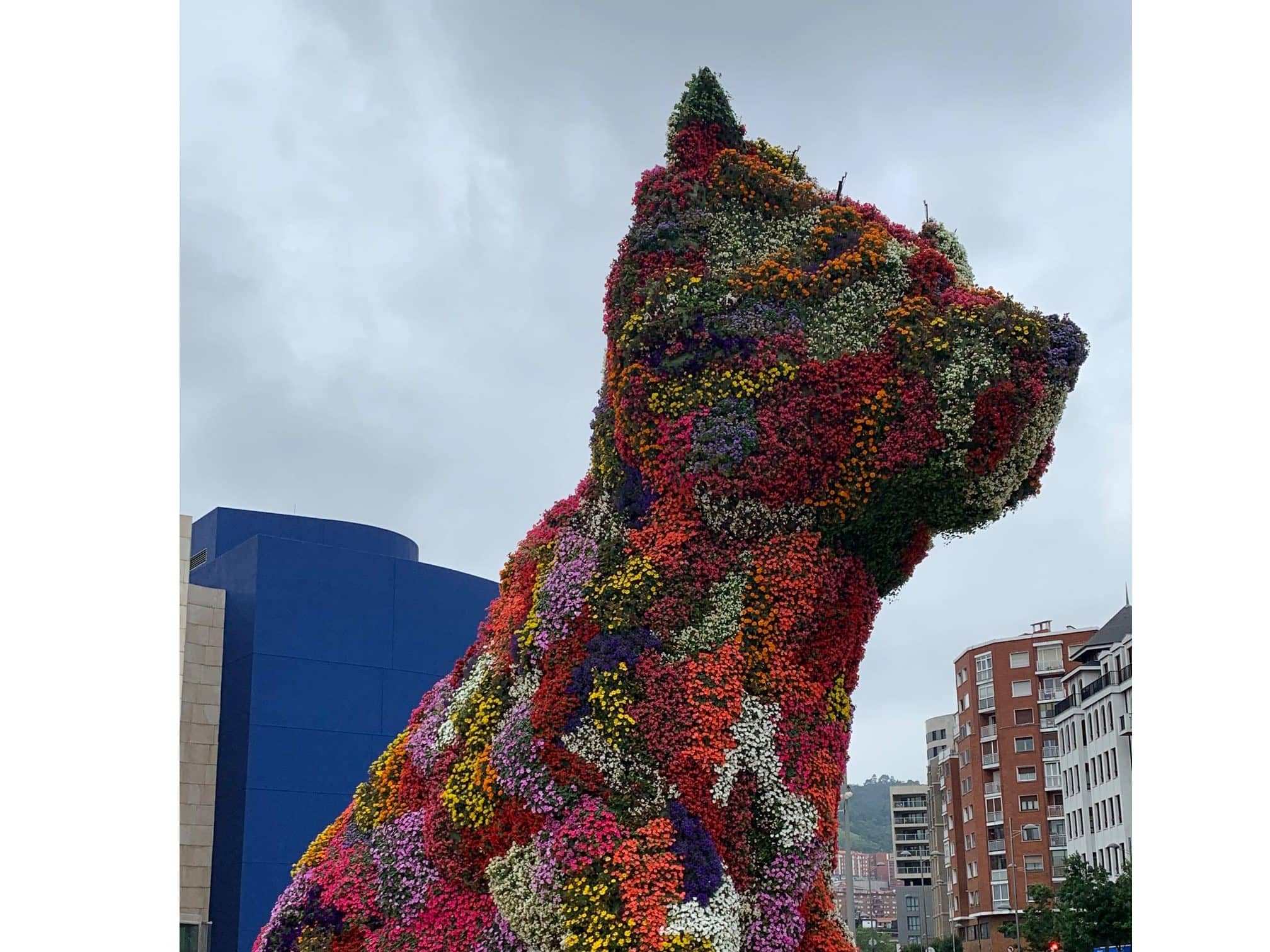 Jeff Koons "Puppy" Outside Guggenheim Museum