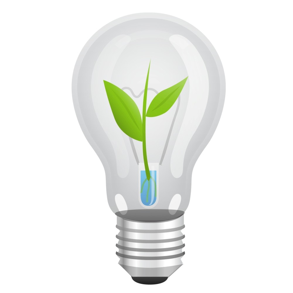 A Beginner’s Guide to Indoor Grow Lights for Starting Seeds