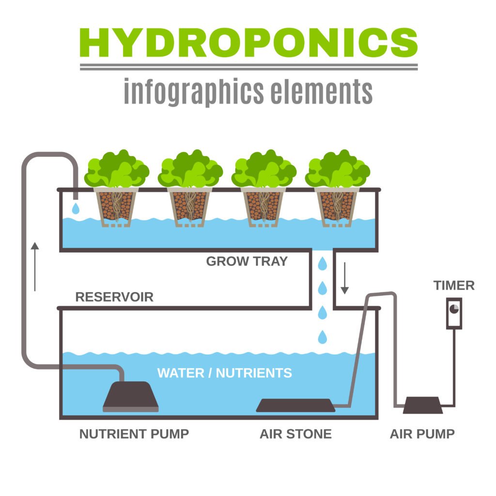 Quick Intro To Growing Hydroponic Peppers Indoors Grow Hot Peppers