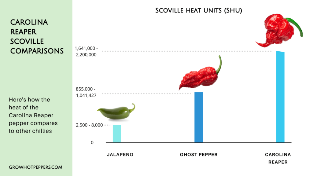 carolina reaper pepper size