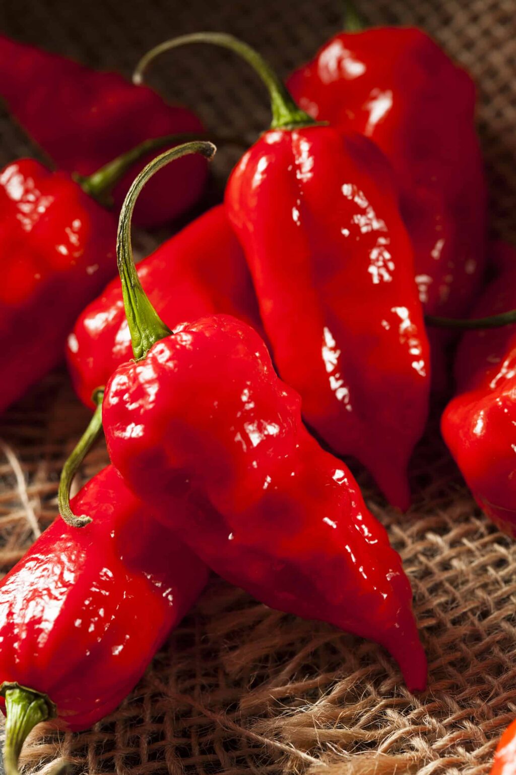 What Is The Scoville Scale For Peppers? Grow Hot Peppers
