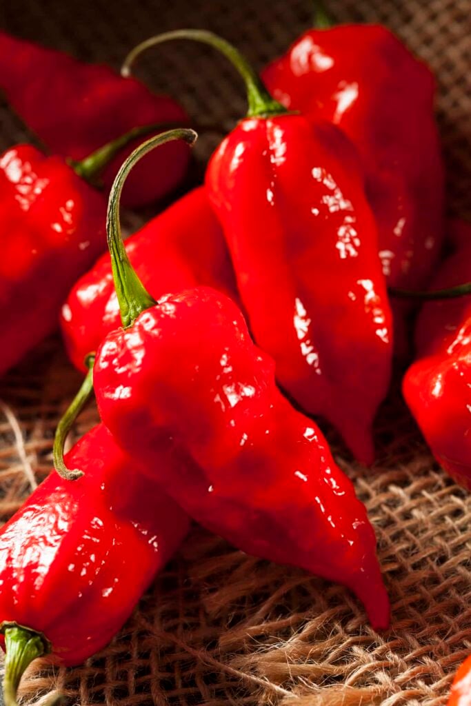 Scoville Scale - What is the hot pepper scale? – Normex Group HK