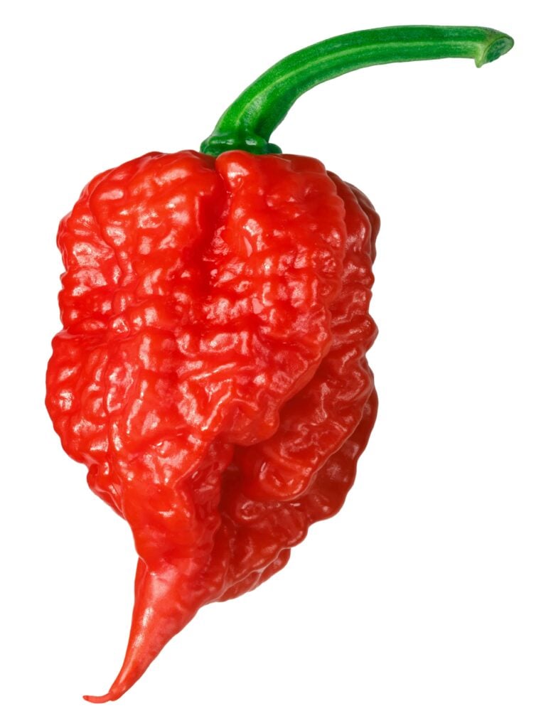 On a pepper scale of 7,000 to 2M: Hot or not?