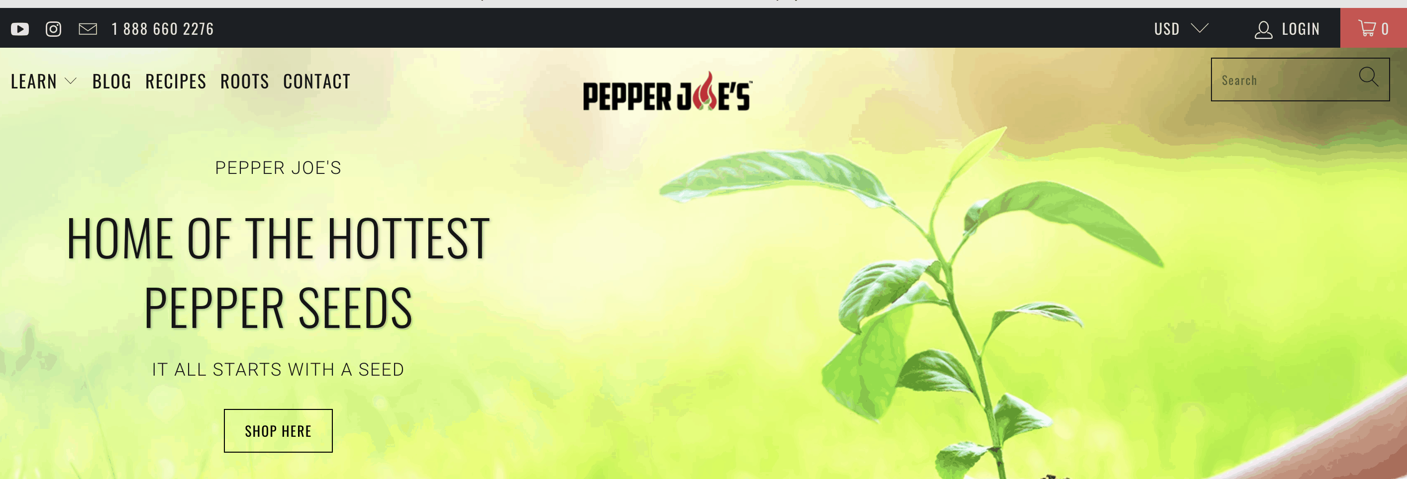 30 Places to Buy Pepper Seeds Online (Worldwide) Grow Hot Peppers