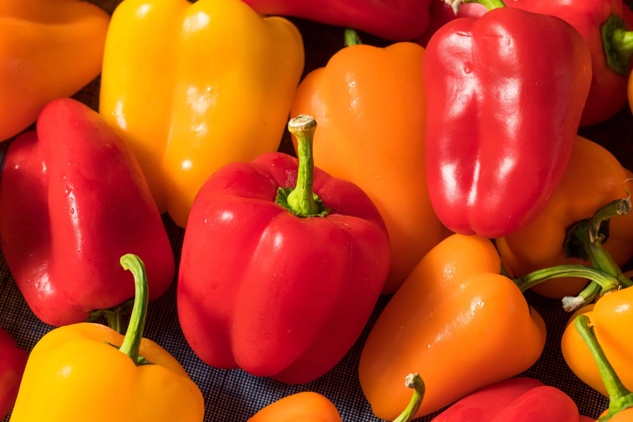 When To Pick Peppers (& How) + Best Tips For 12 Different Varieties