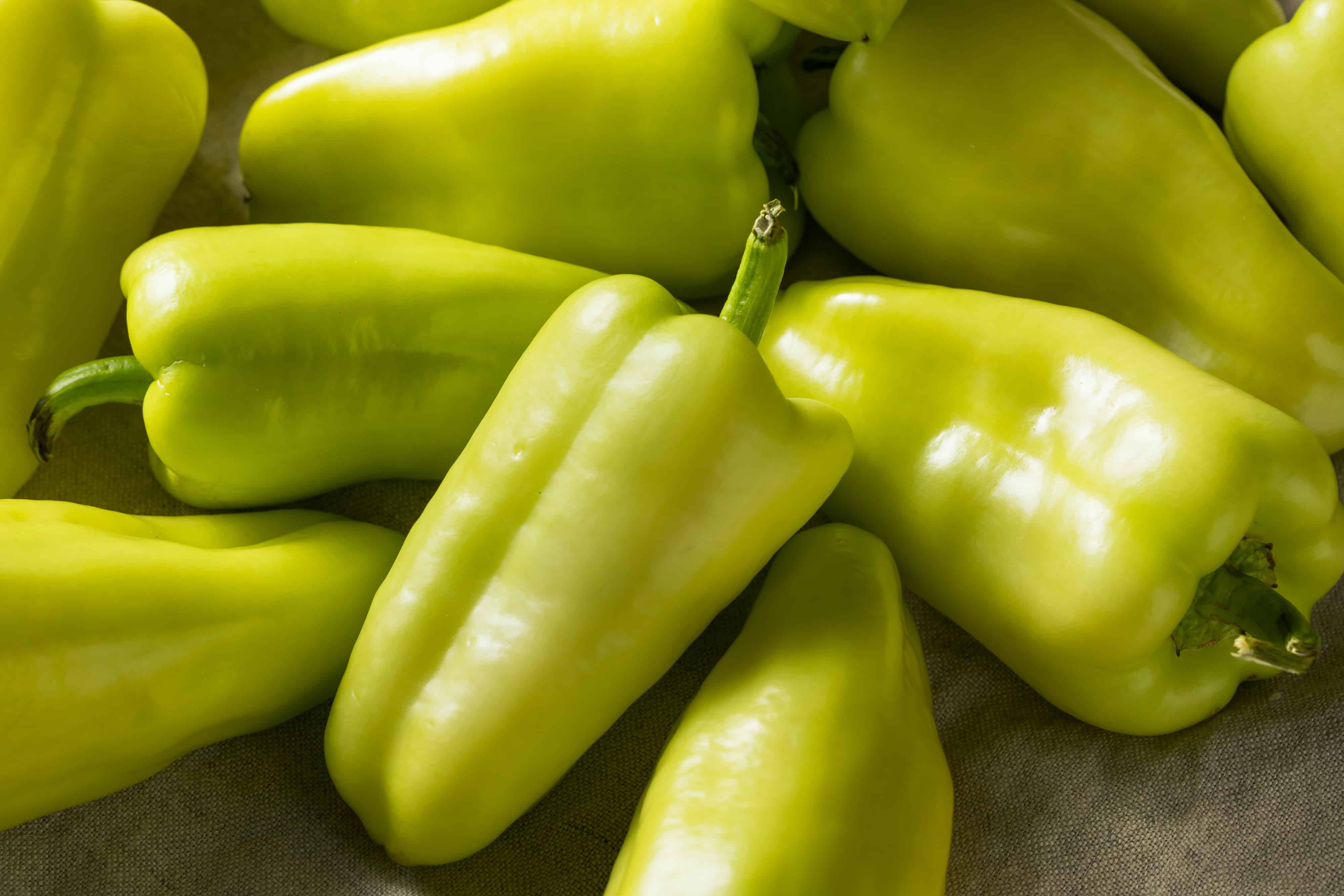 When To Pick Peppers (& How) + Best Tips For 12 Different Varieties