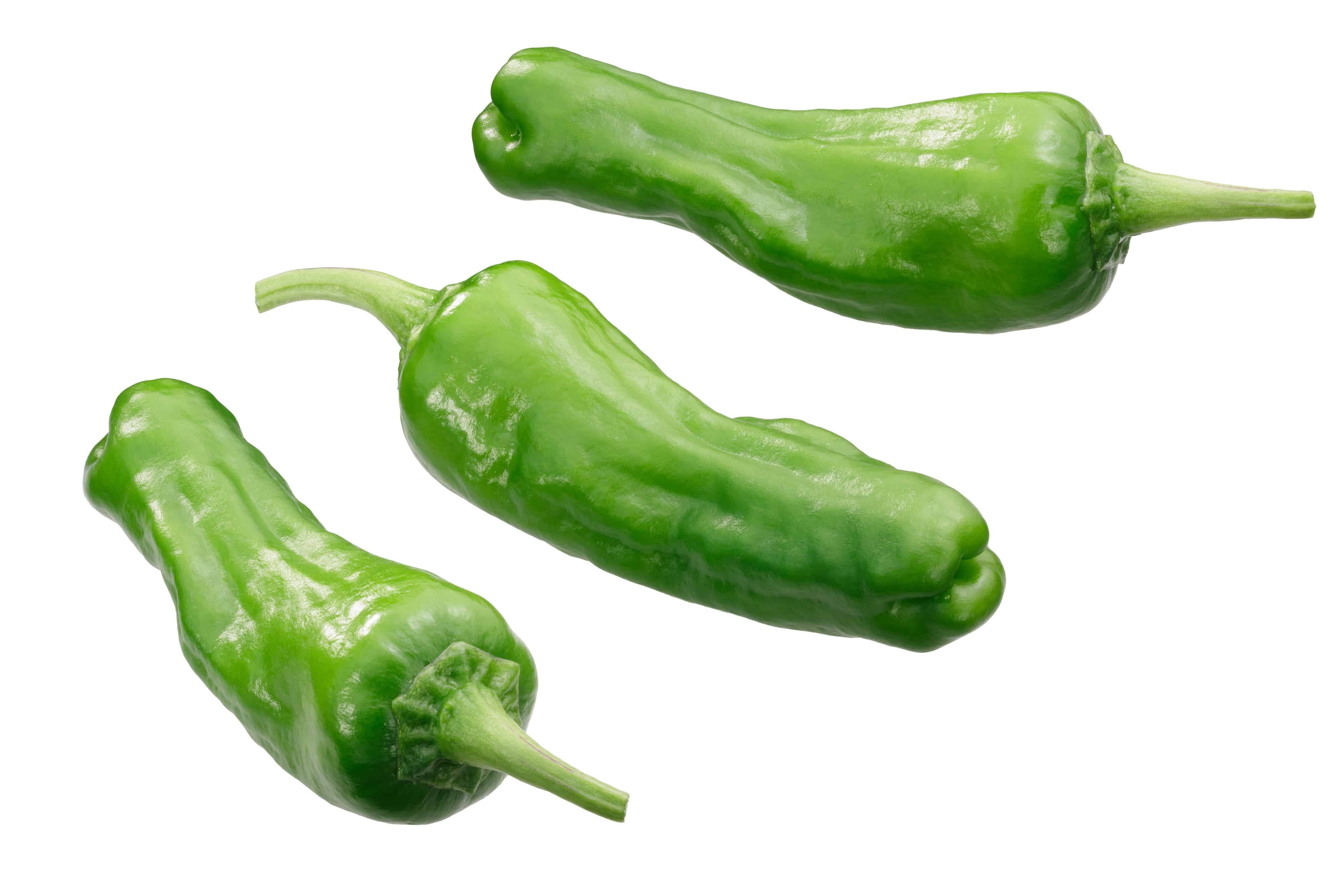 When To Pick Peppers (& How) + Best Tips For 12 Different Varieties