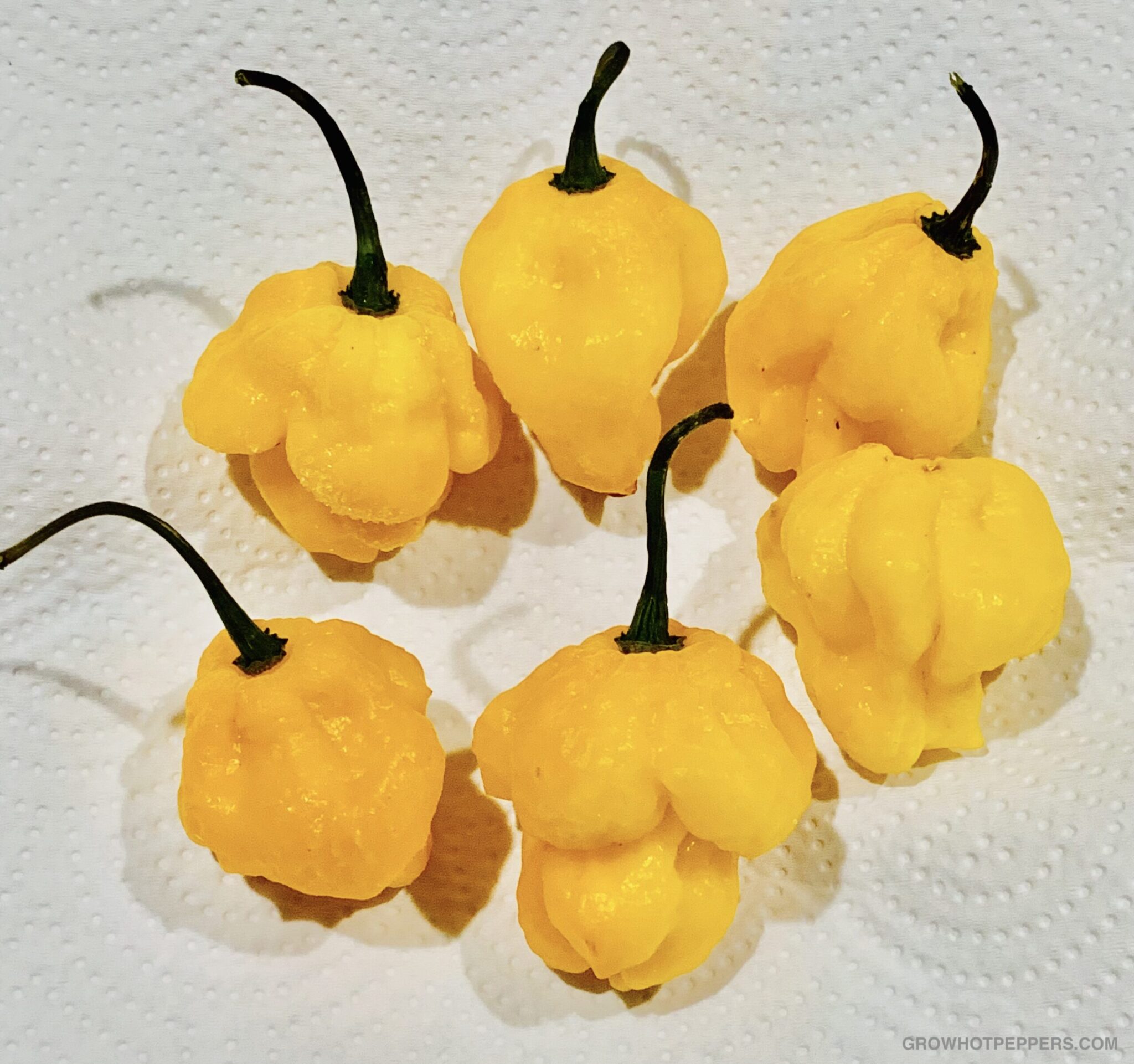 Scotch Recipe How To Make Easy Jerk Marinade You'll Love Grow