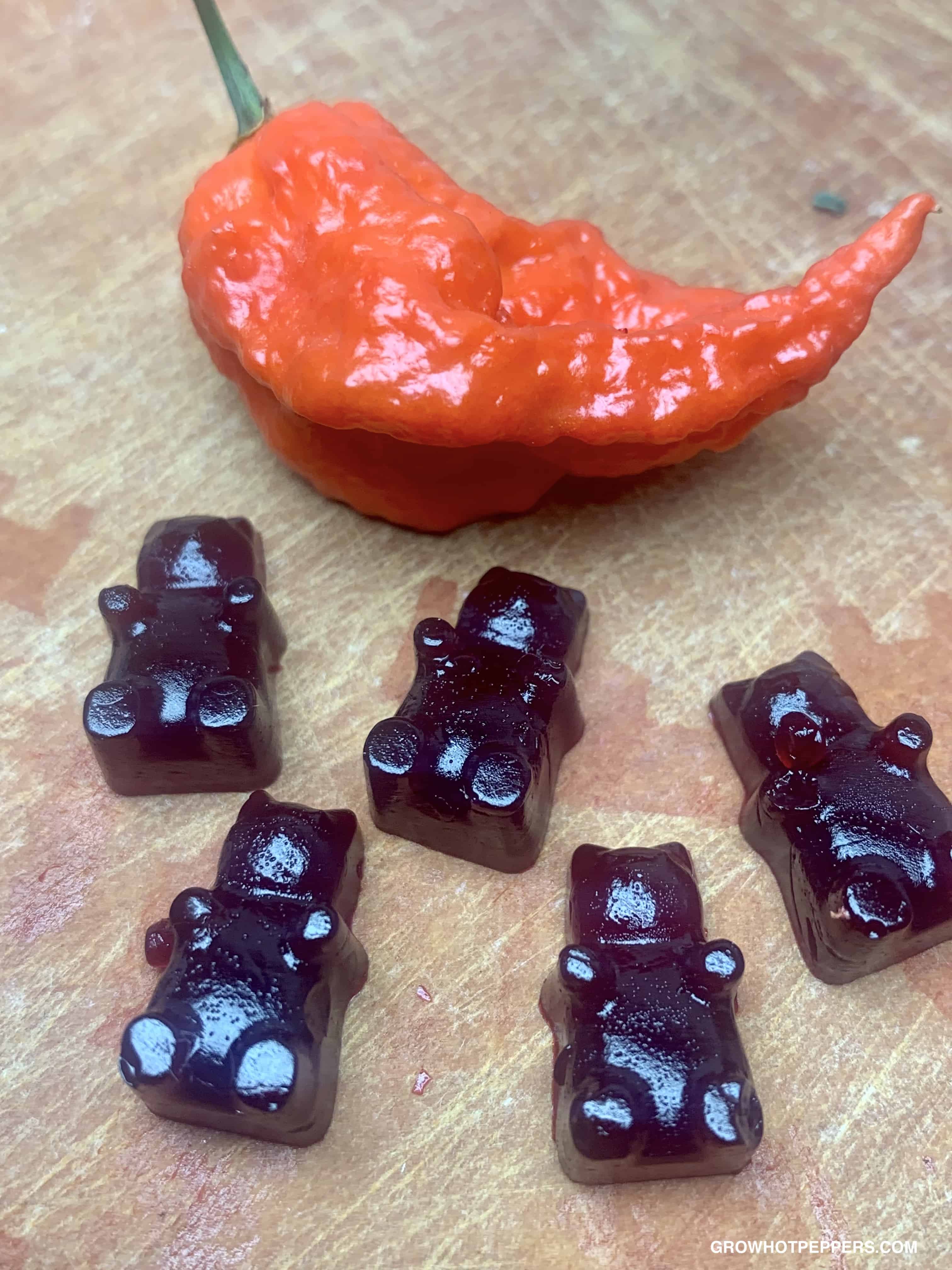 Spicy Gummy Bear Recipe With Juice Grow Hot Peppers
