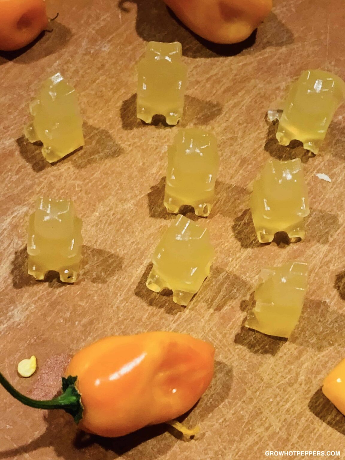 Spicy Gummy Bear Recipe With Juice Grow Hot Peppers