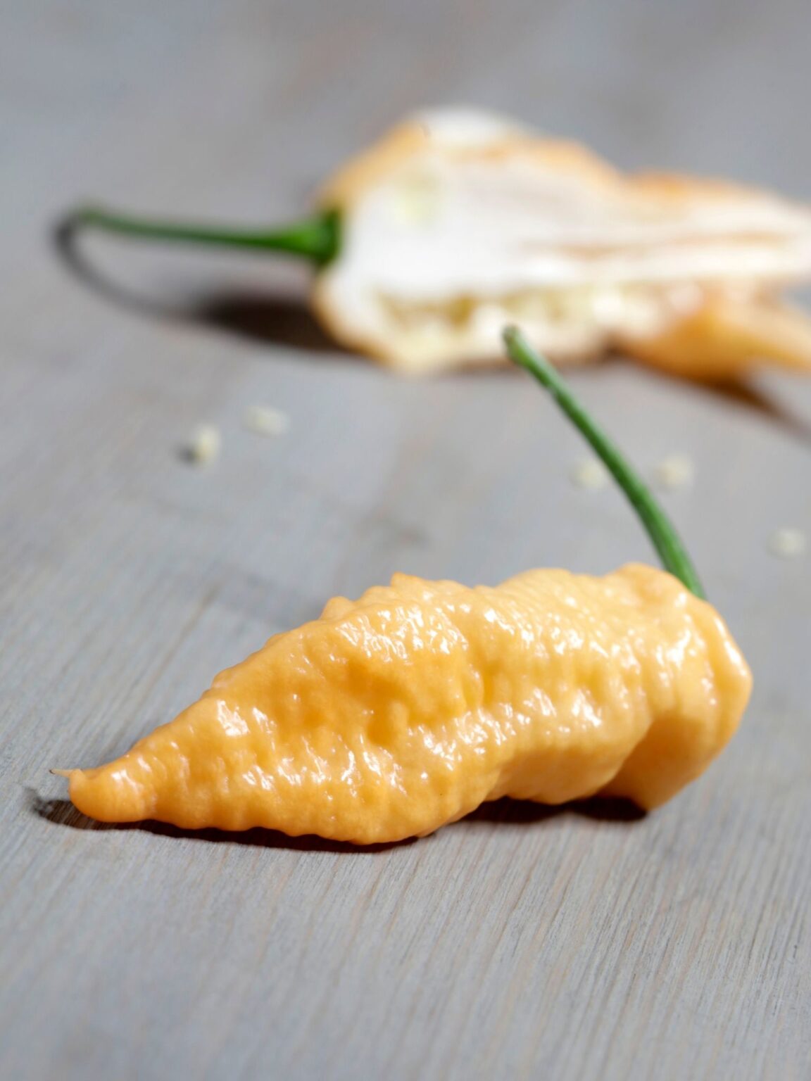 Ghost Pepper Plant Scoville, Colors And [Updated] Grow Guide