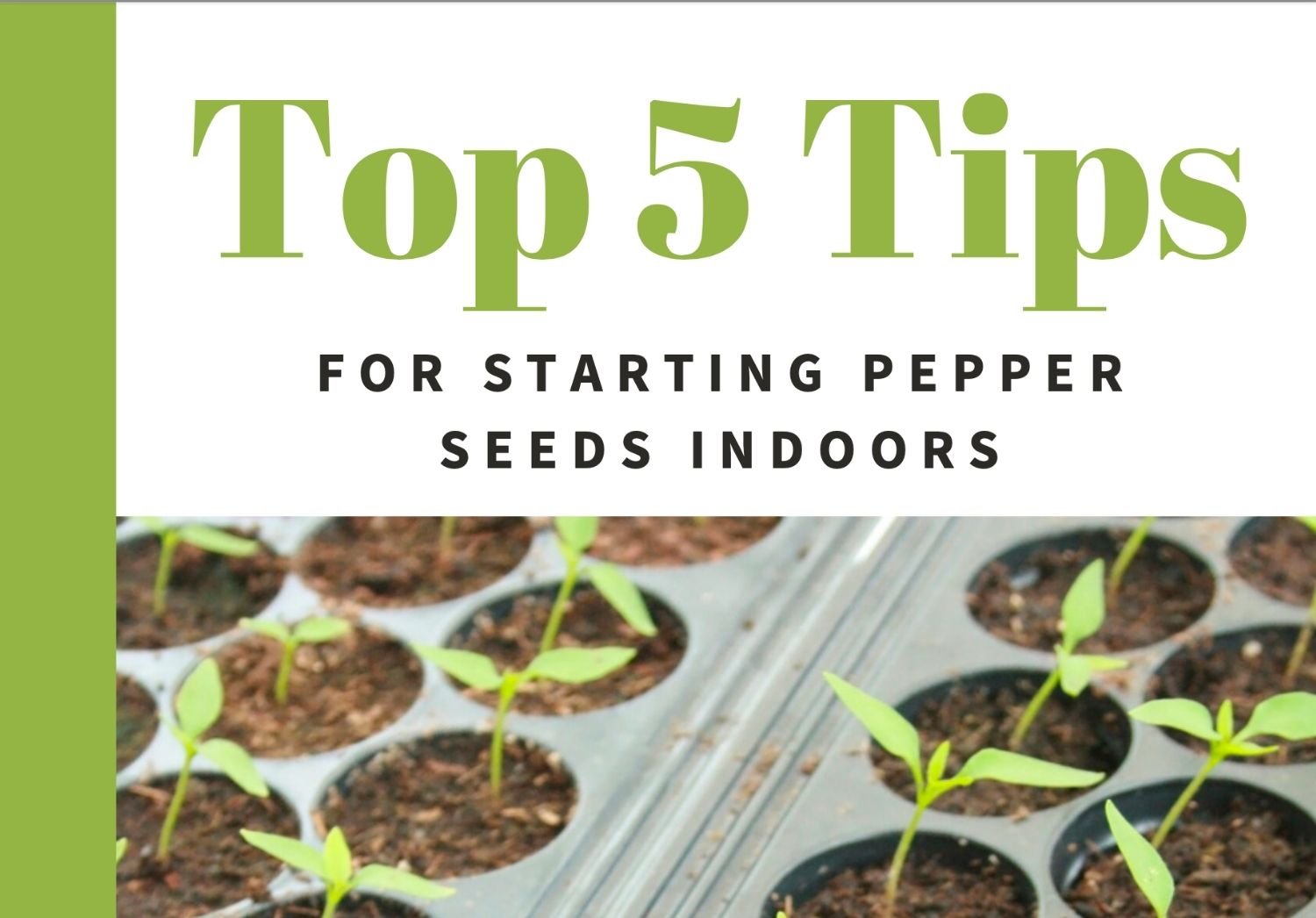 Grow Hot Peppers Pepper Gardening In Containers