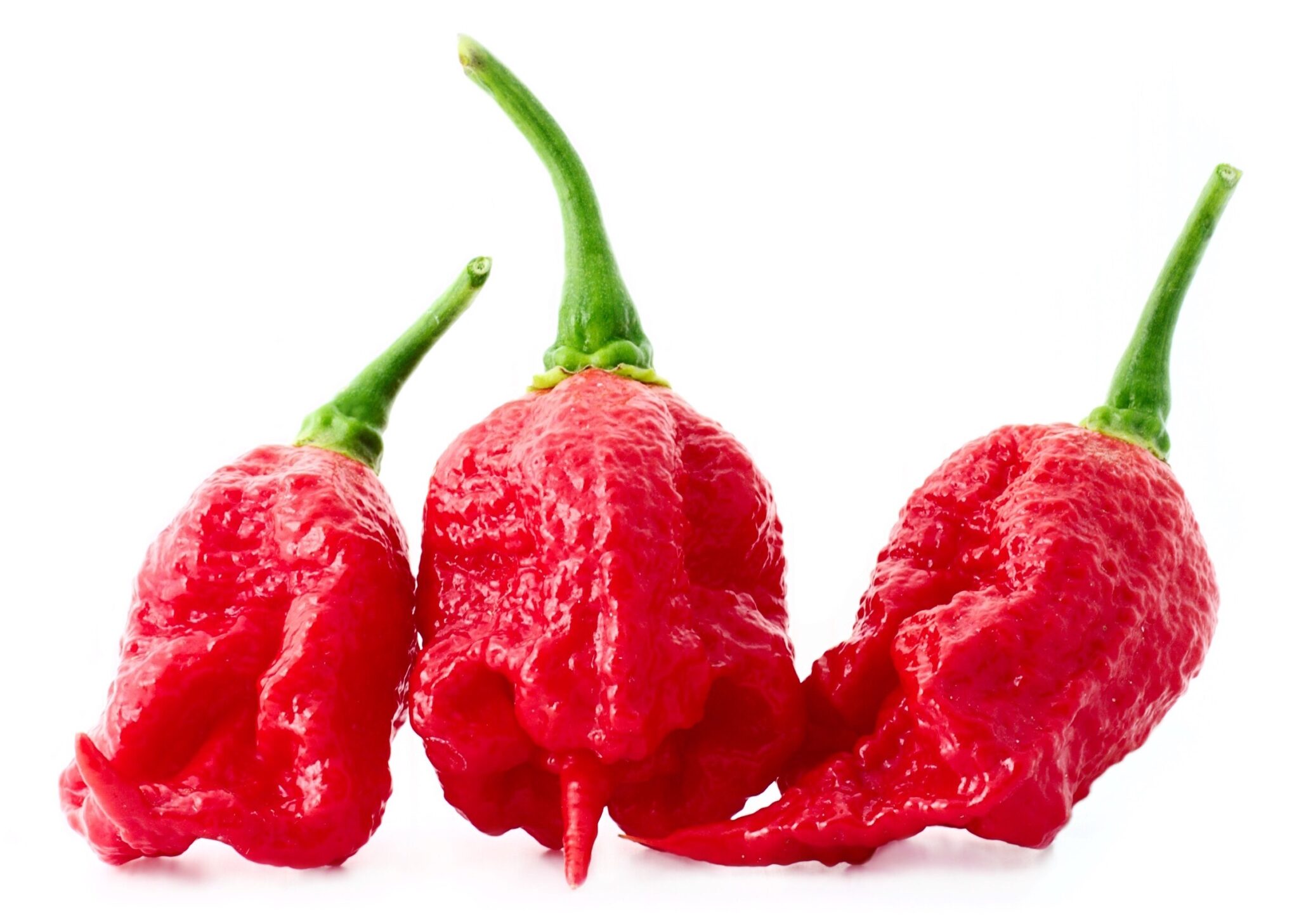 Top 10 Hottest Peppers List (2024) Ranked By Scoville Grow Hot Peppers