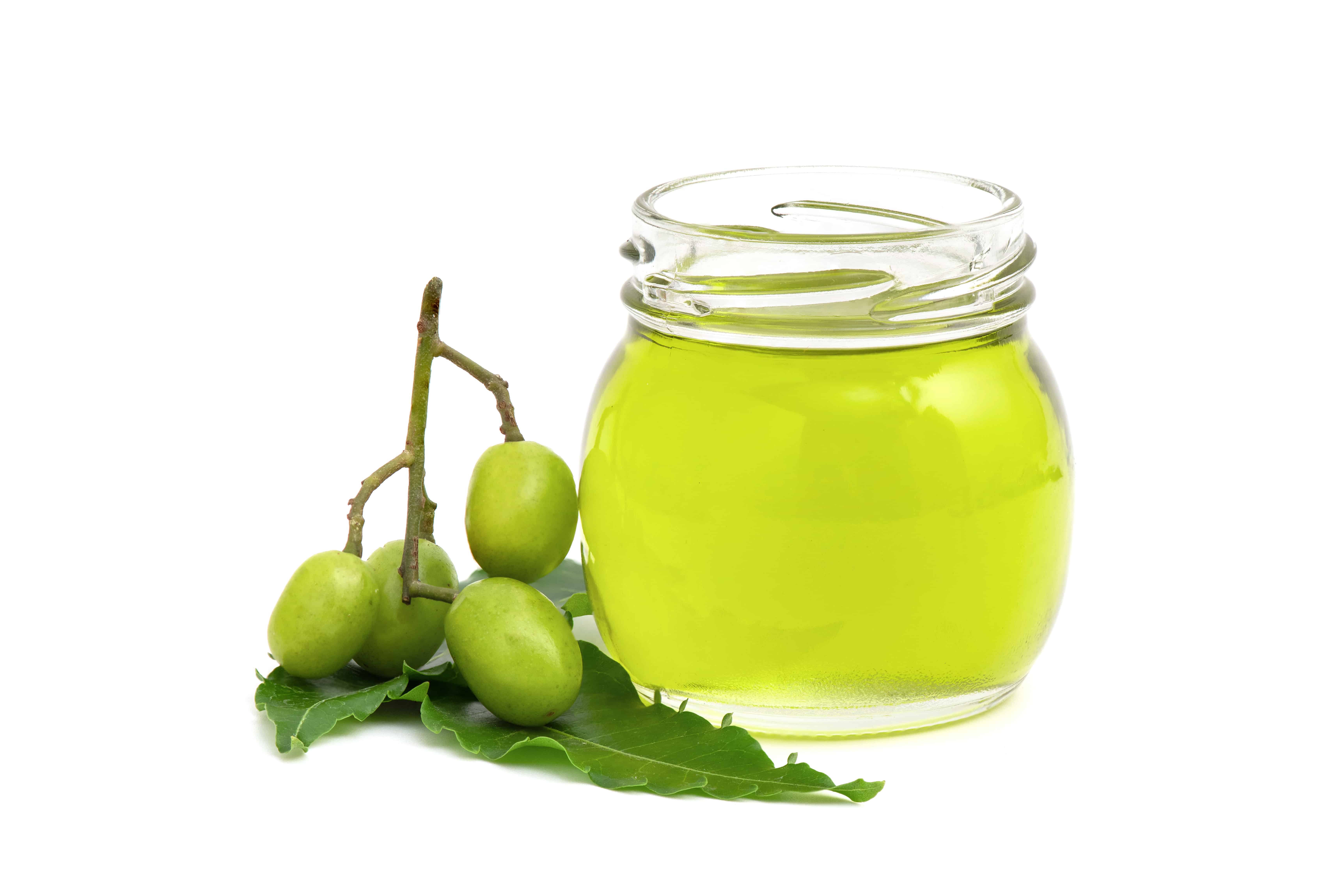 How To Get Rid Of Fungus Gnats In Plants (Indoors & Outside) Grow Hot