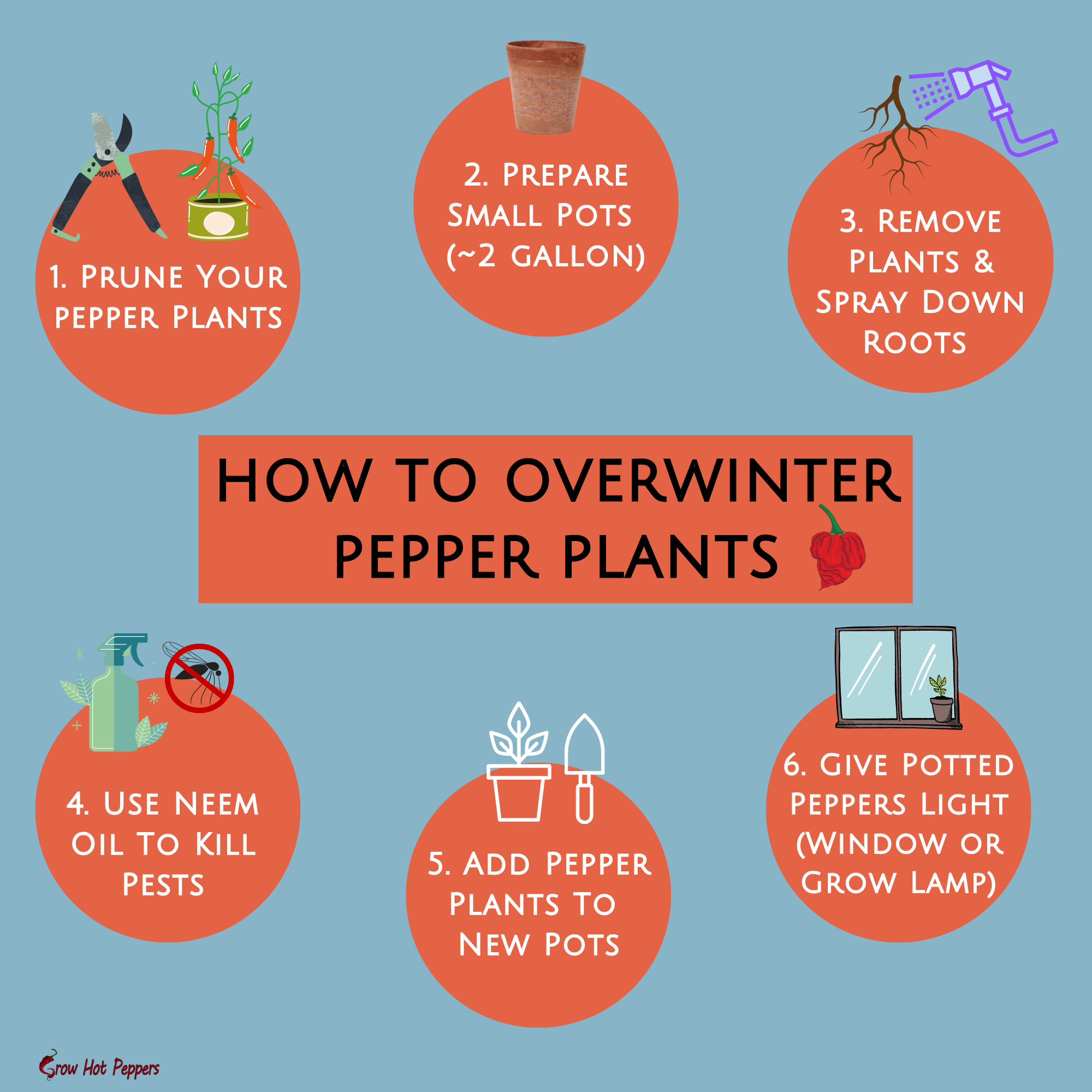 Overwintering Pepper Plants (2024) Save Plants For Next Year Grow