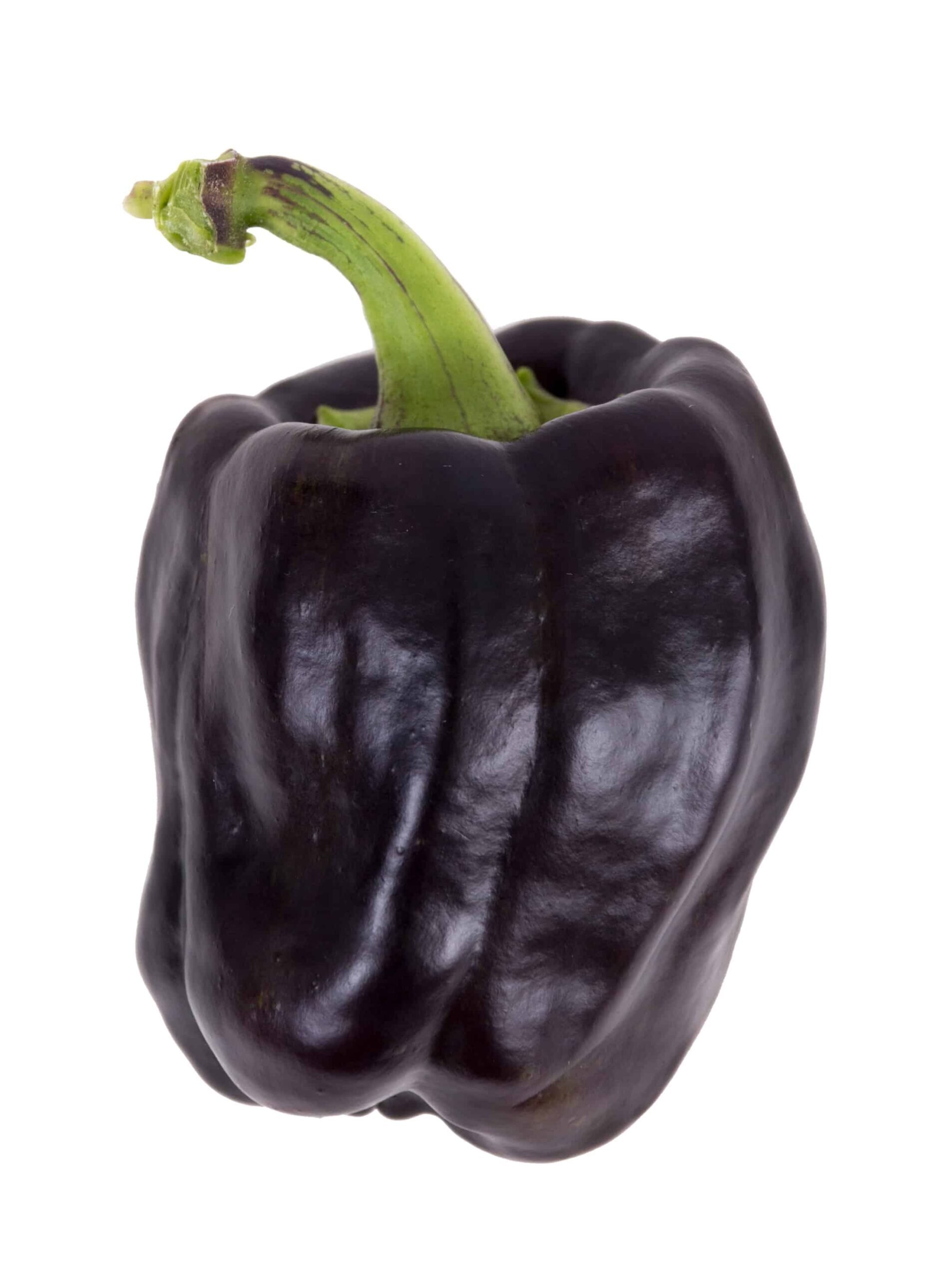 When To Pick Bell Peppers For Peak Ripeness Grow Hot Peppers