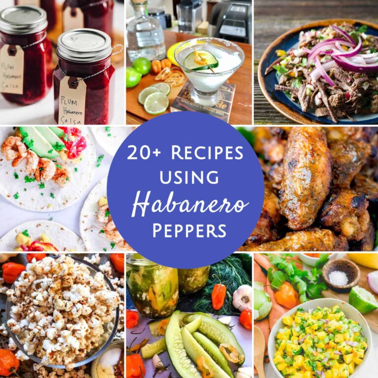 24 Recipes Using Habanero Peppers That Really Bring The Heat Grow Hot
