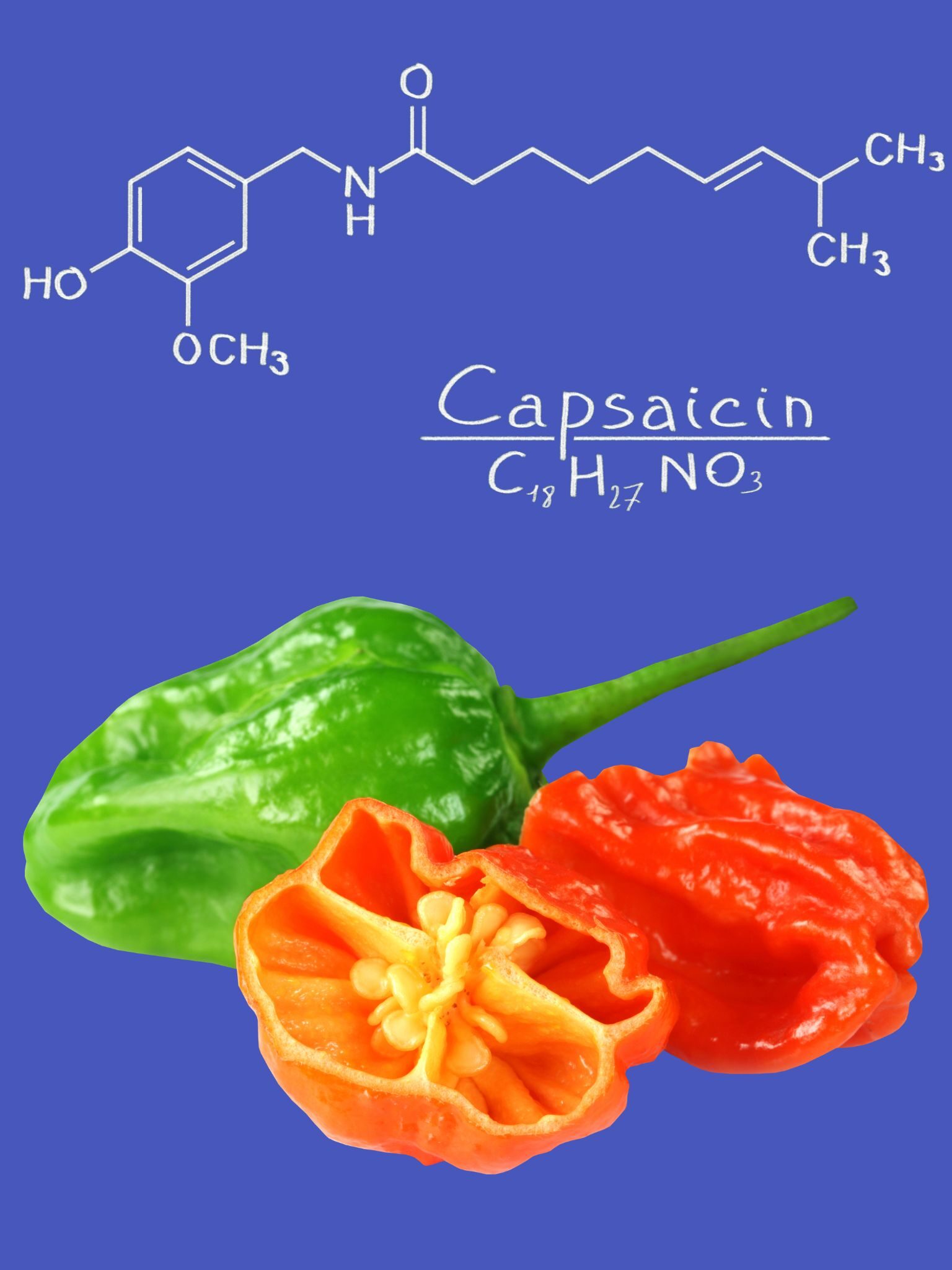 What Makes Peppers Hot? (+ Why They Make You Feel Drunk!) Grow Hot