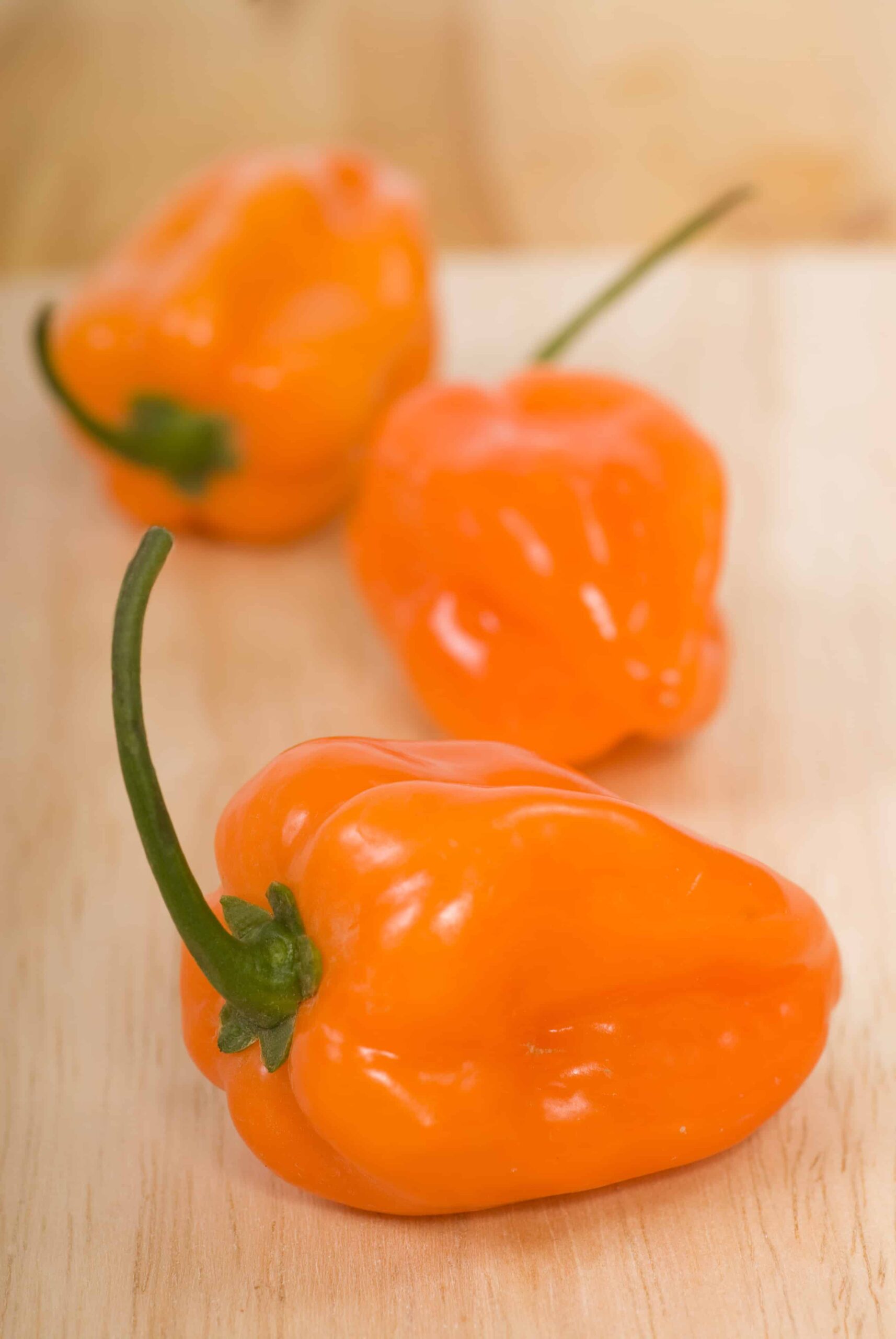 What Is A Scotch Pepper? Grow Hot Peppers