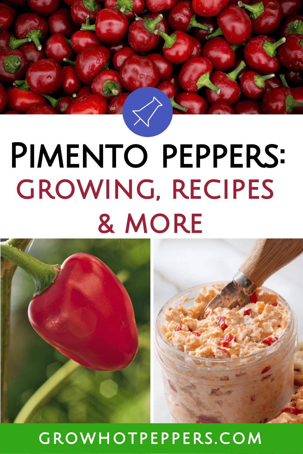 Pimento Peppers (Pimiento Peppers): A Definitive Guide To This Heart ...