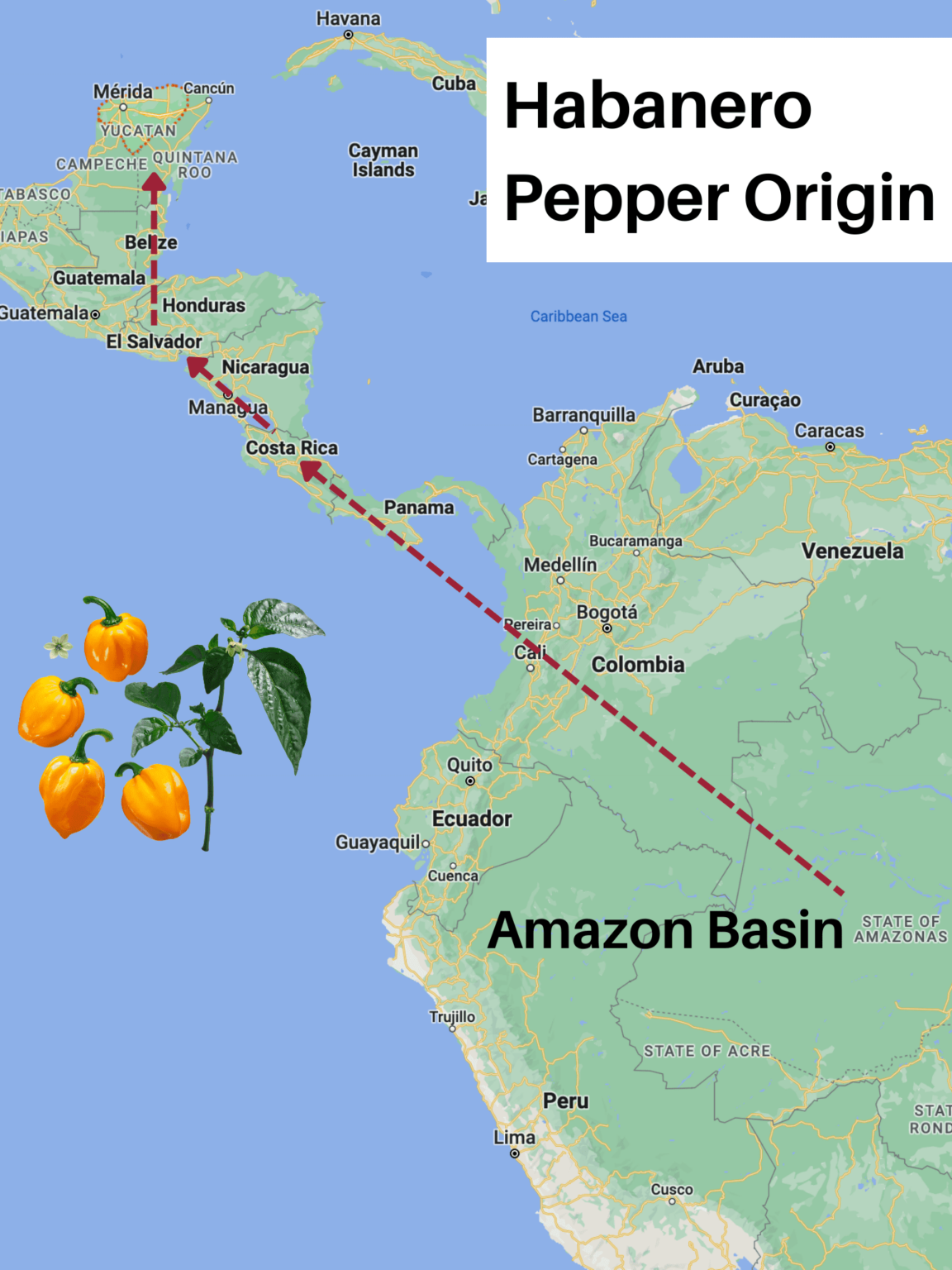 Habanero Pepper 101 Here's What You Want To Know (+ Easy Habanero