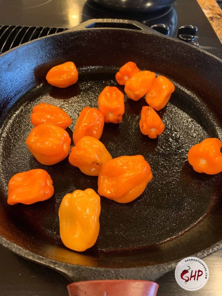 foams habanero