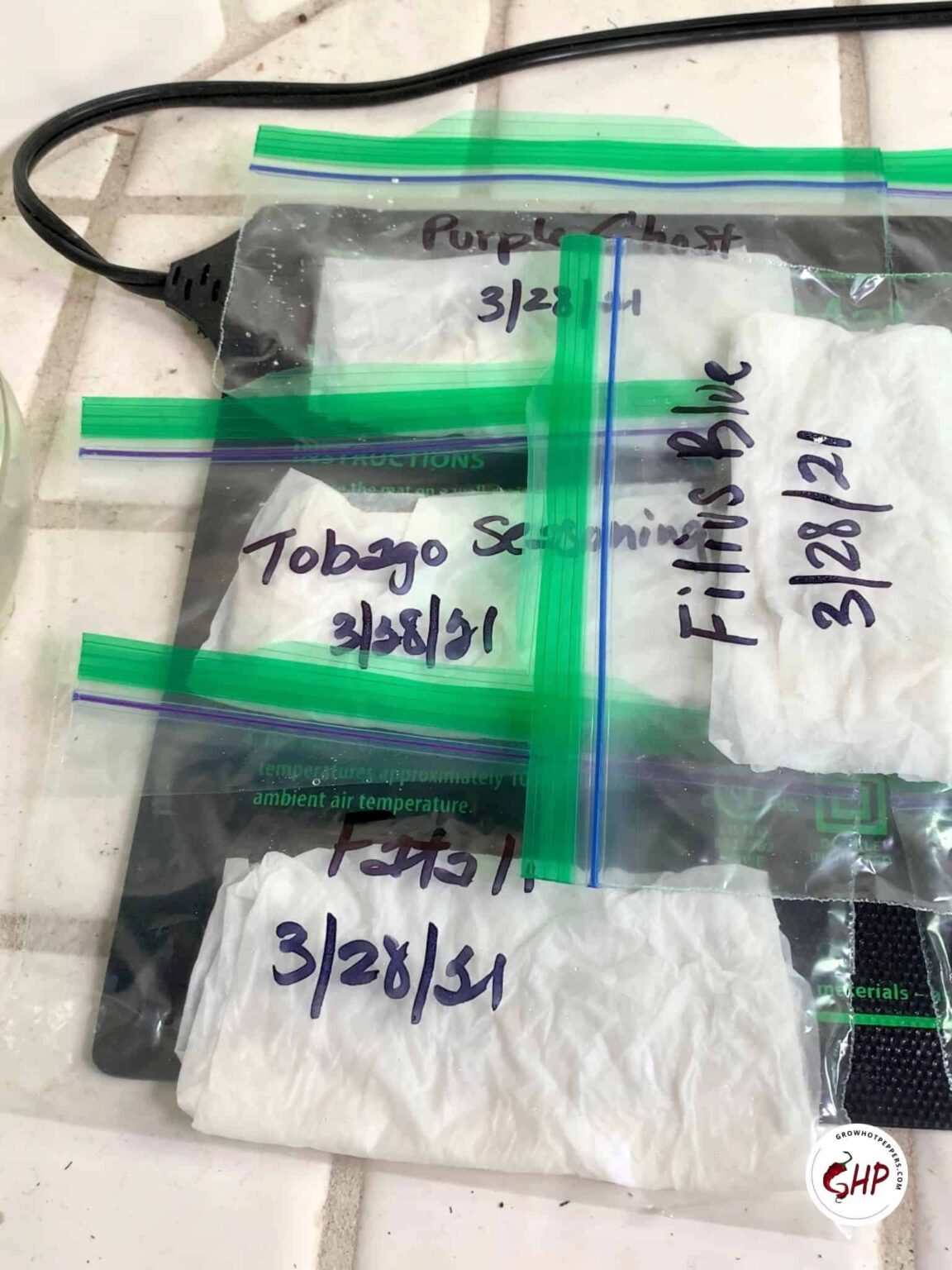 Germinating Pepper Seeds 3 Tricks To Get Them To Sprout Grow Hot Peppers