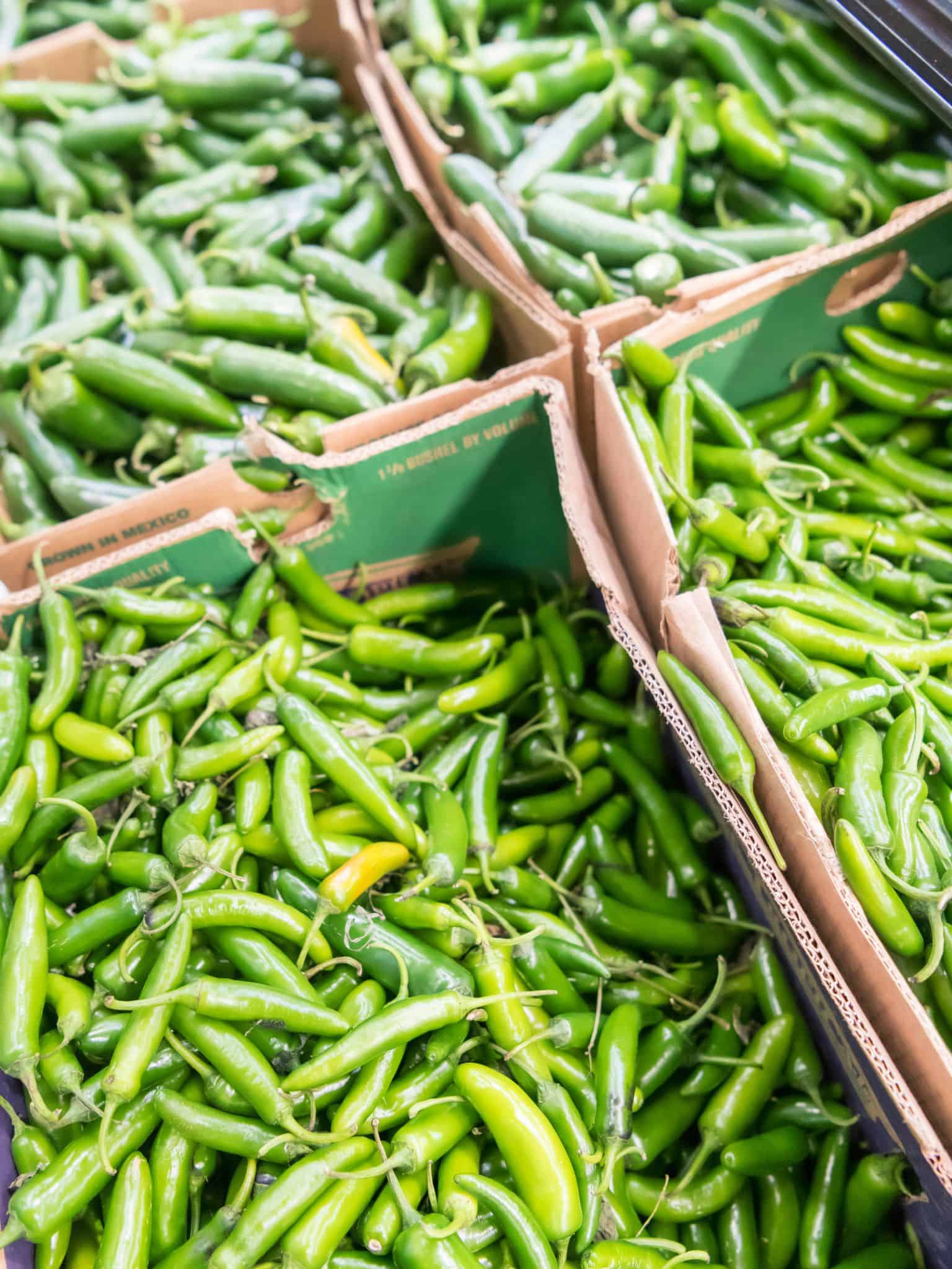 Can You Grow Jalapenos From Store Bought Peppers?