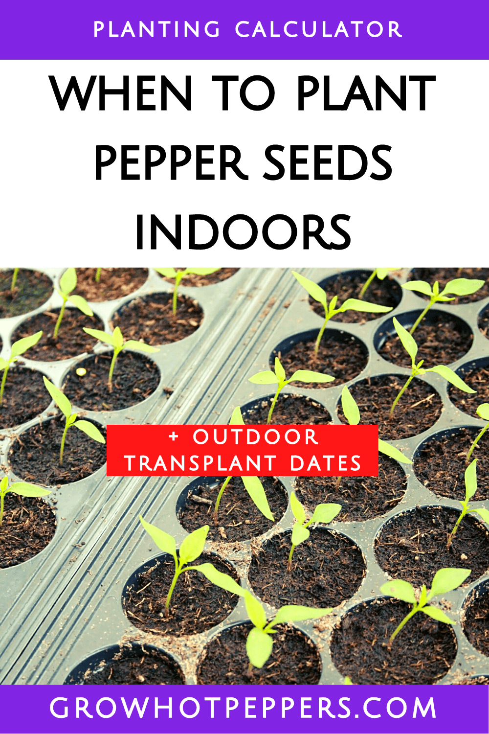 When To Plant Peppers 11 Best Garden Zones For Chiles (+ Seed Planting