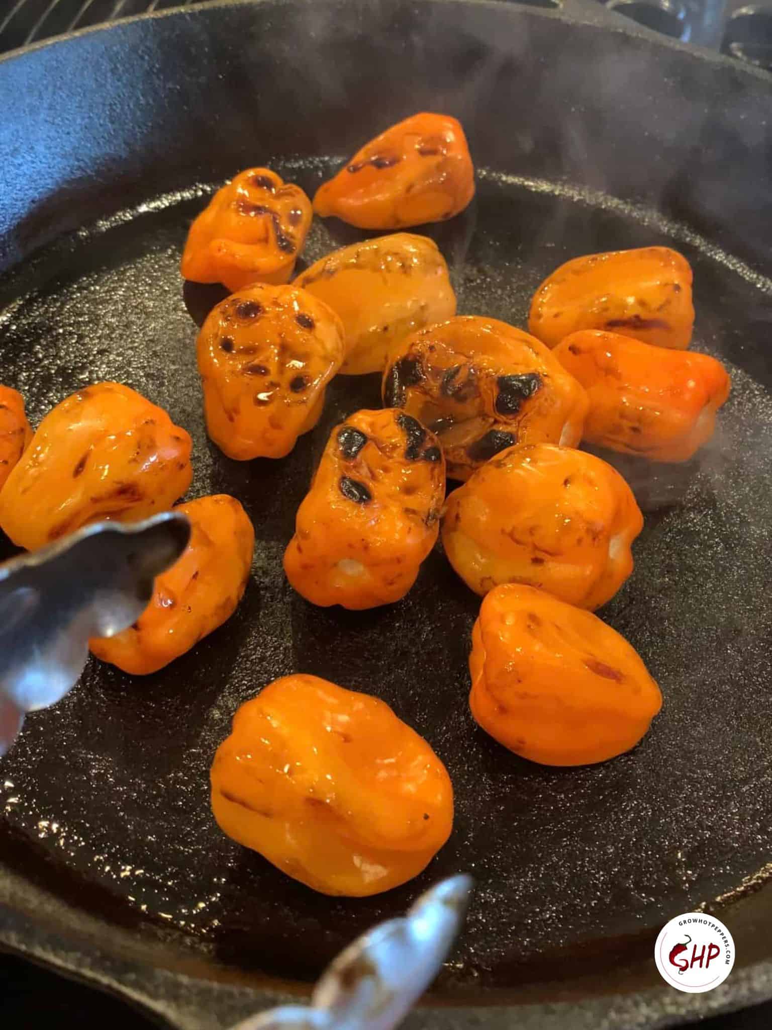 Manzano Vs Habanero: Flavor, Heat, And Cooking Uses Compared - yt7lvoe