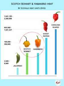 Scotch Bonnet Vs Habanero: Revealing 3 Key Differences In This Spicy