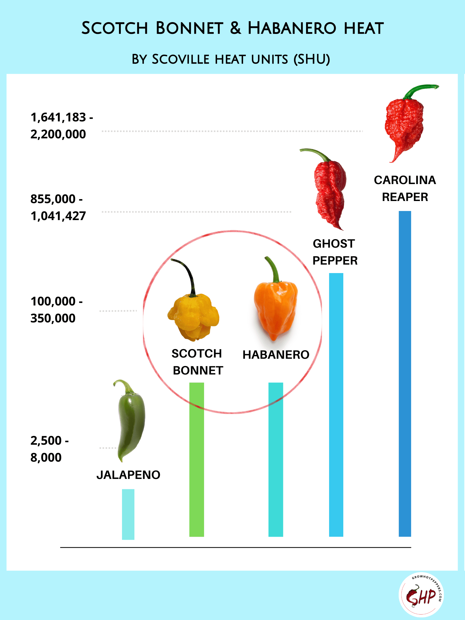 Scotch Bonnet Vs Habanero Revealing 3 Key Differences In This Spicy 