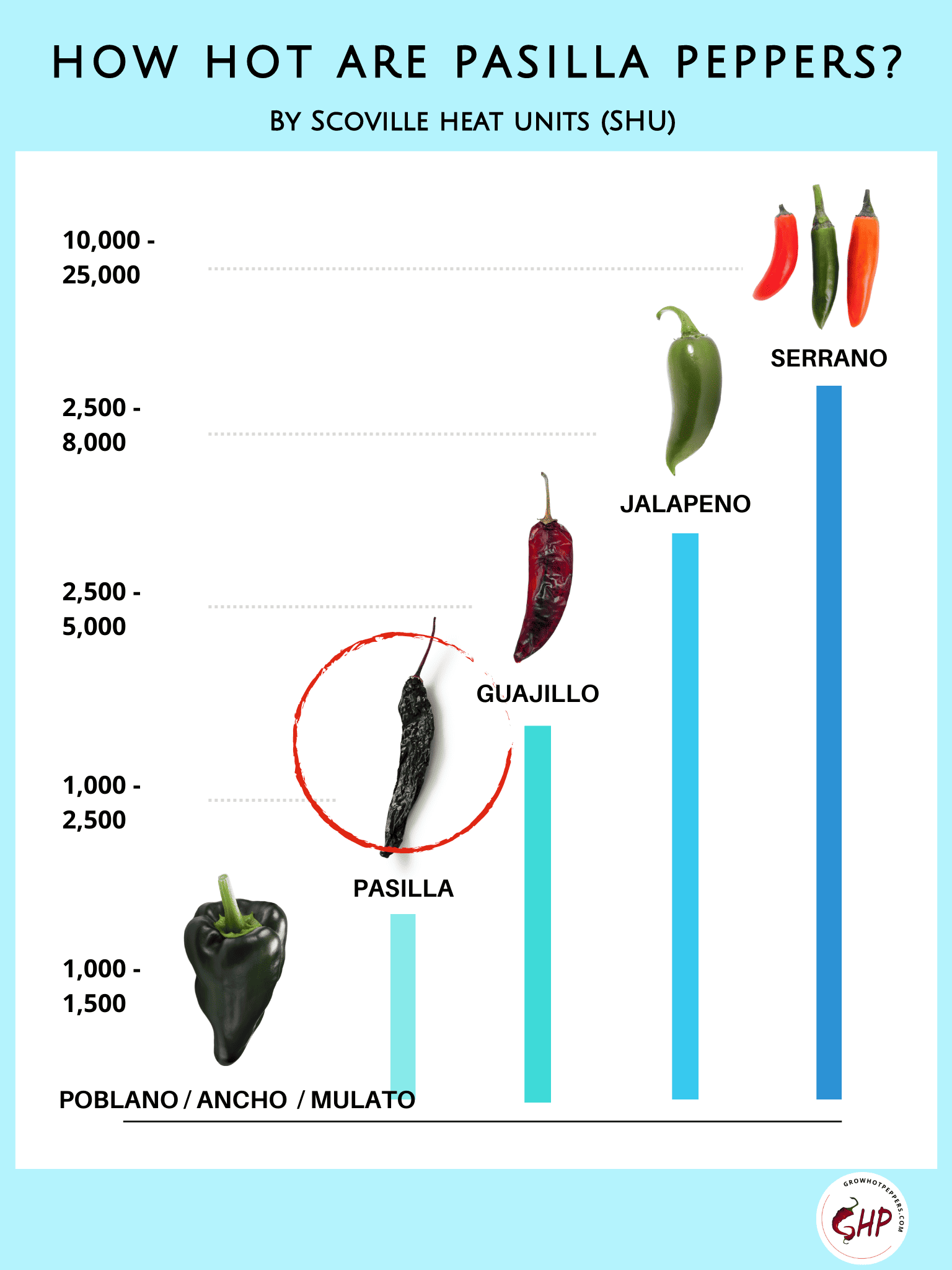 Chile Pasilla About The Delicious "Little Raisin" Pepper + 7 Step