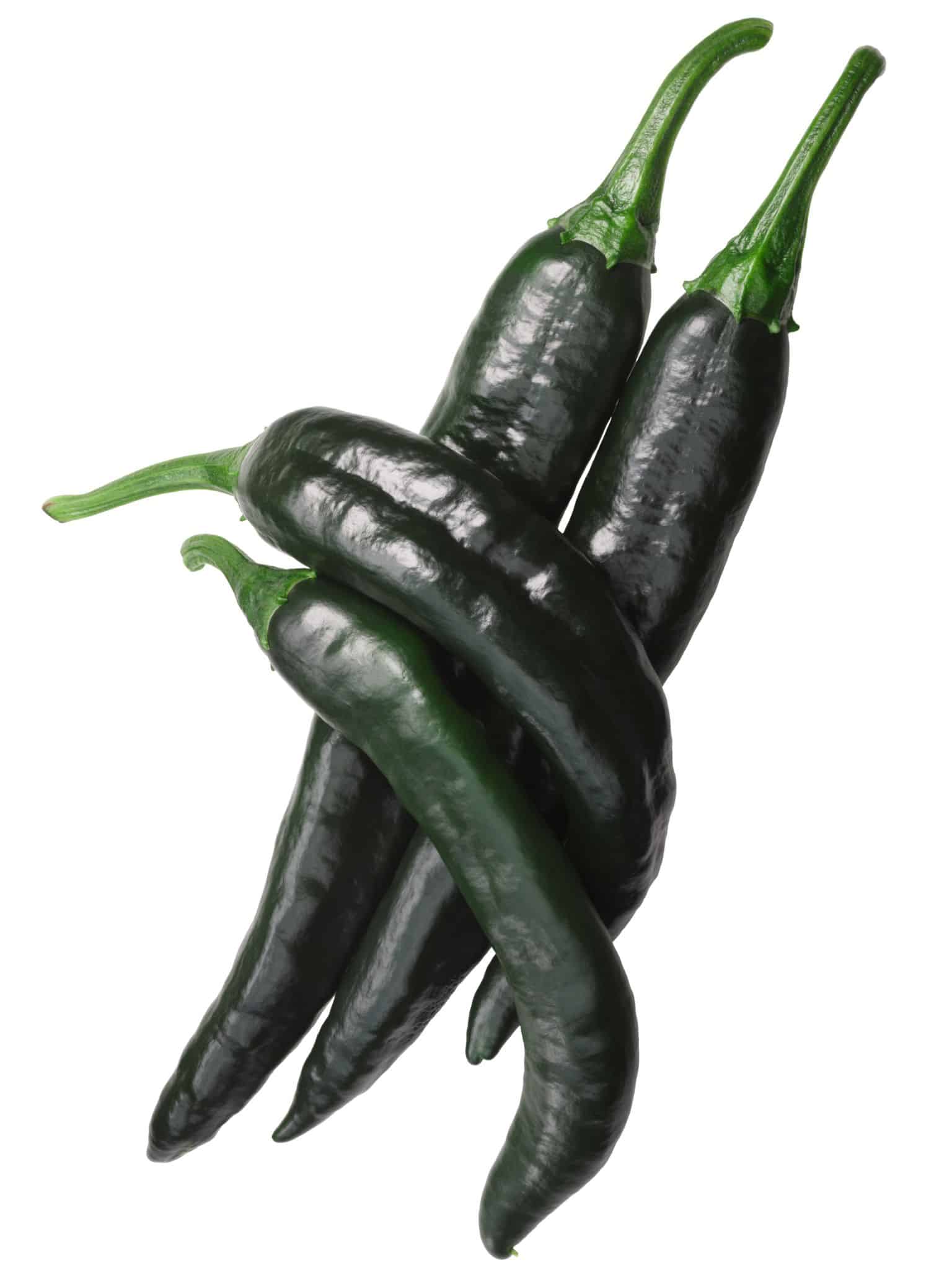 Chile Pasilla About The Delicious "Little Raisin" Pepper + 7 Step