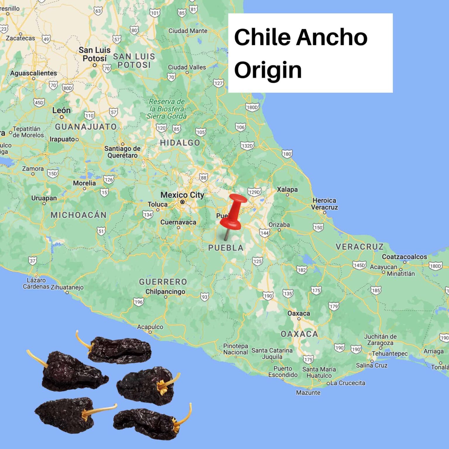 Chile Ancho One Of The 3 Dried Chiles Essential To Mexican Cuisine