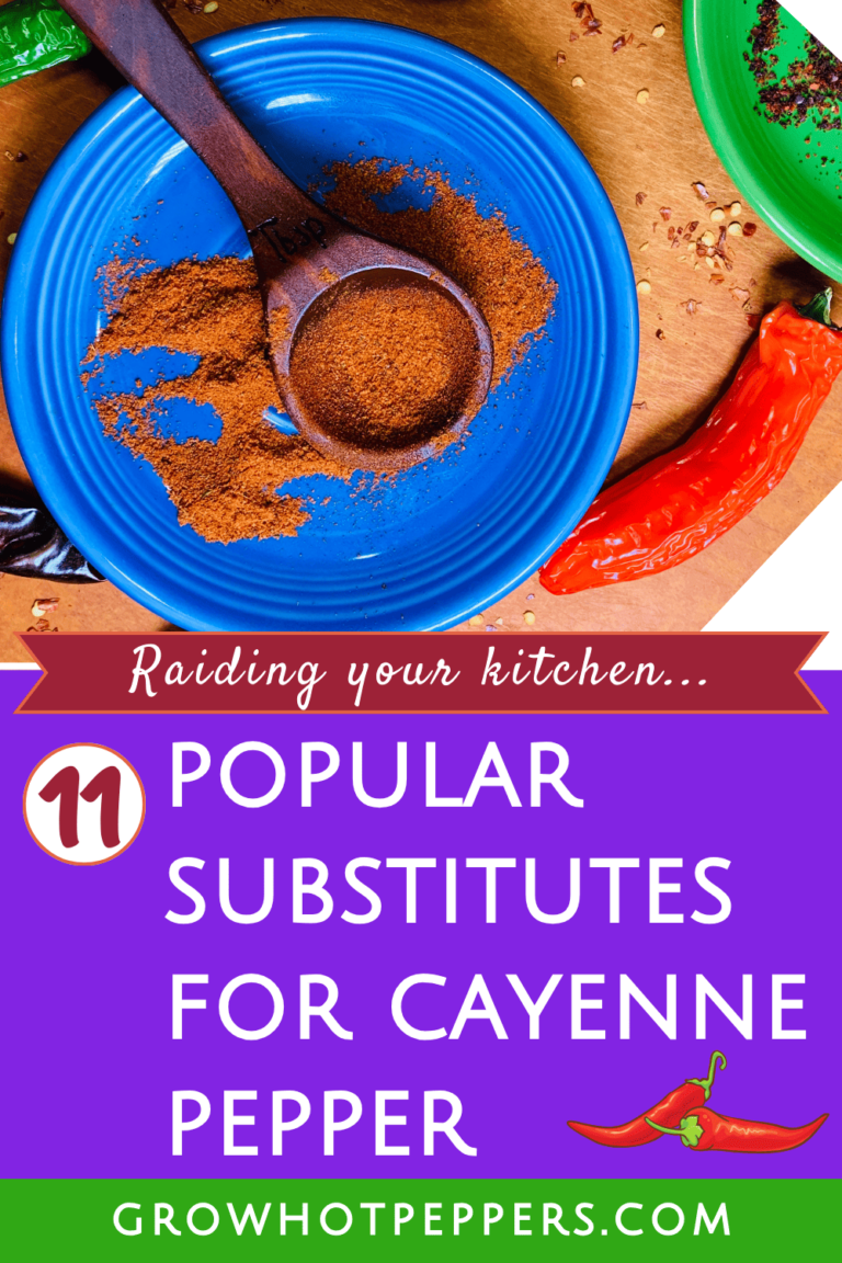 11 Cayenne Pepper Substitute Picks When You Run Out + Best Swap Tips