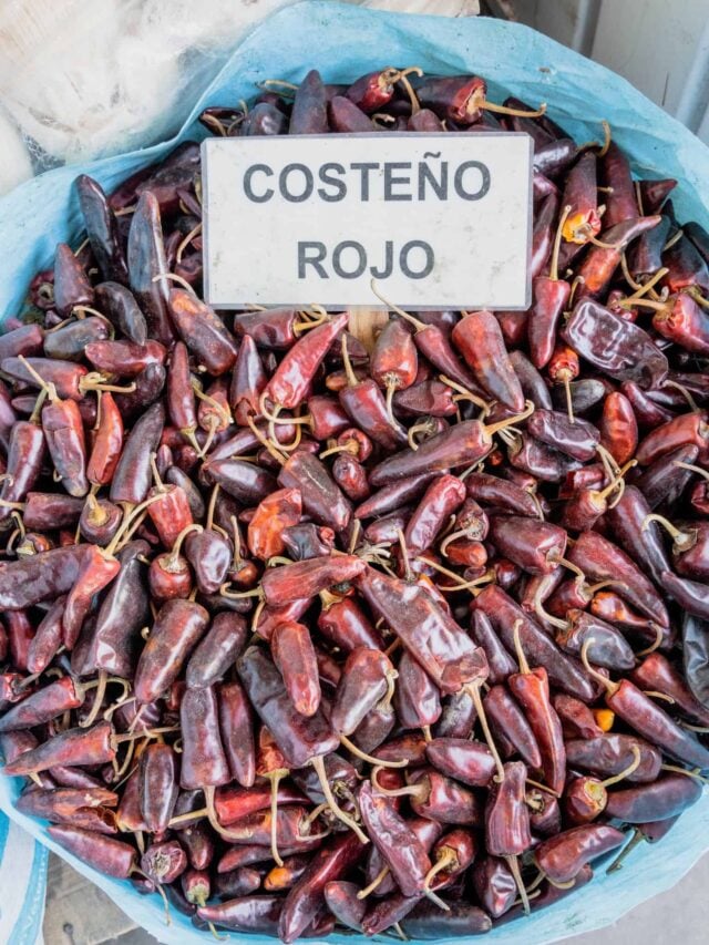 23 Mexican Chiles You're Definitely Going To Want To Eat (and Grow ...