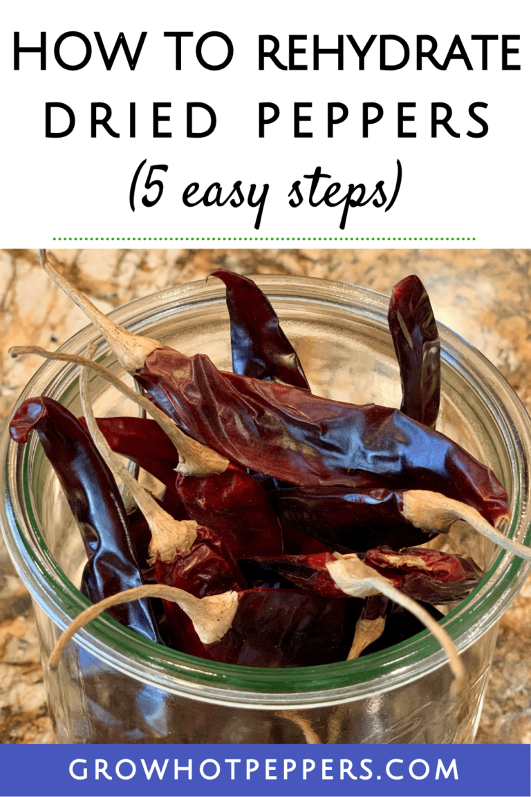 How To Rehydrate Dried Peppers In 5 Easy Steps Grow Hot Peppers